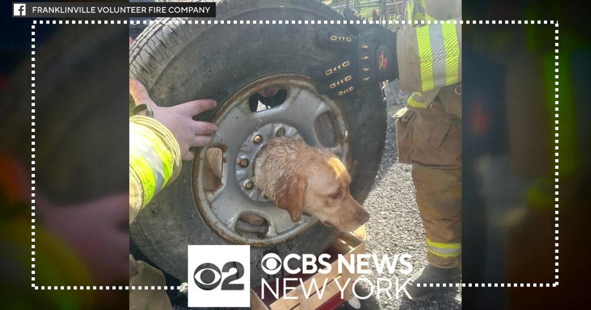 Volunteer firefighters in N.J. rescue dog stuck in tire rim - CBS New York