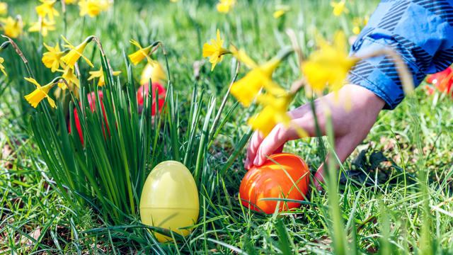 A child's hand reaching for hidden in a grass Easter egg 