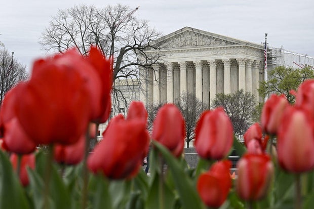 A view of tulips near the Supreme Court in Washington, D.C., on March 22, 2024.