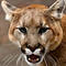 1 killed, 1 injured in California mountain lion attack