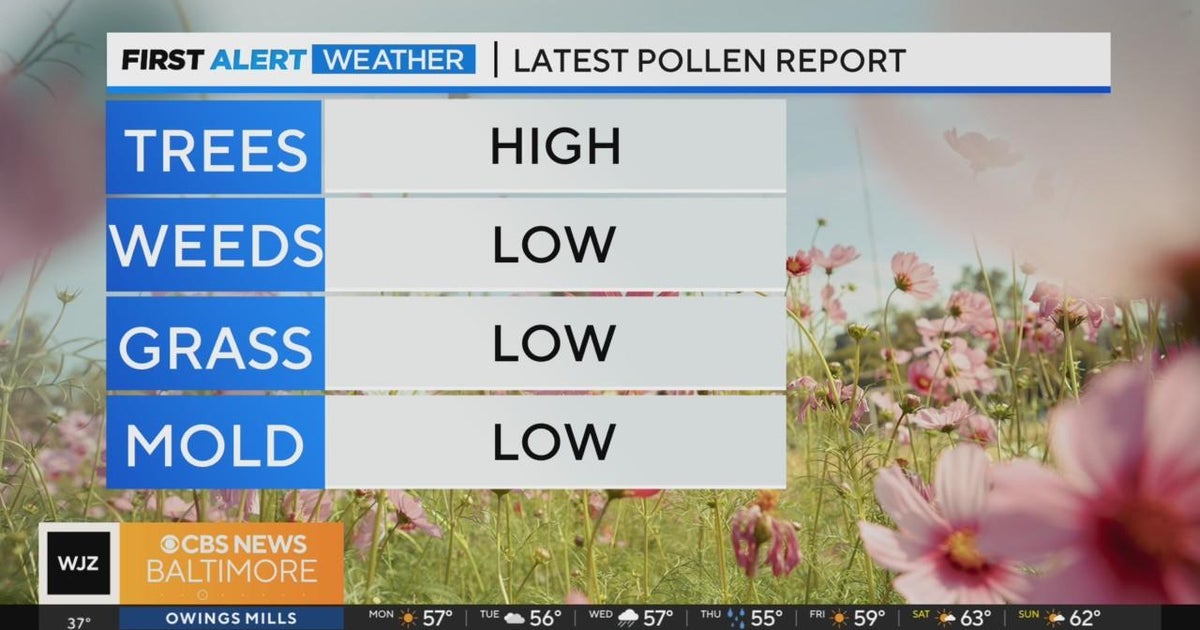 Meg McNamara has your March 25 pollen report - CBS Baltimore