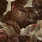 How bird flu outbreaks impacts consumers