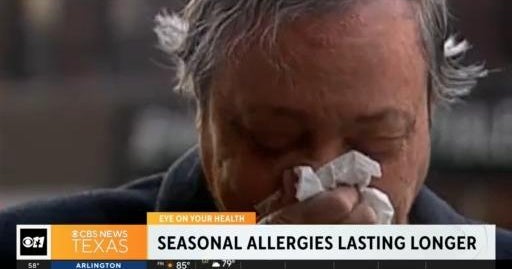 Seasonal allergies lasting longer CBS Texas