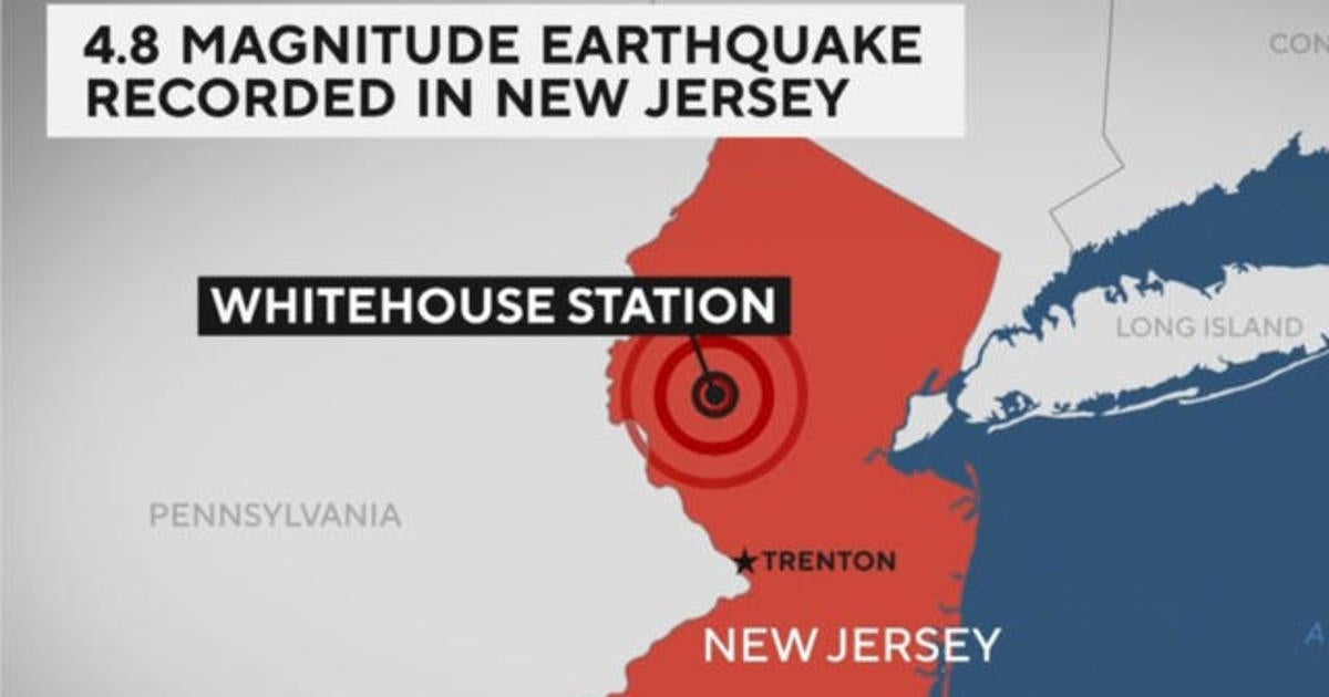 Ground stops issued at New York City-area airports after earthquake ...