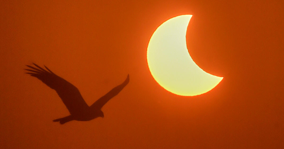 Експертите предупреждават да не гледате слънчевото затъмнение с камерата на телефона си — но споделете трикове за безопасно правене на снимки