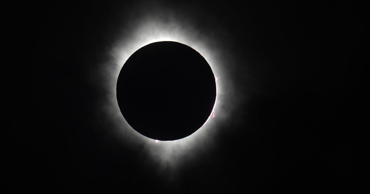 ¿Te perdiste el eclipse solar total de 2024?  Mira el vídeo de los momentos del evento aquí.