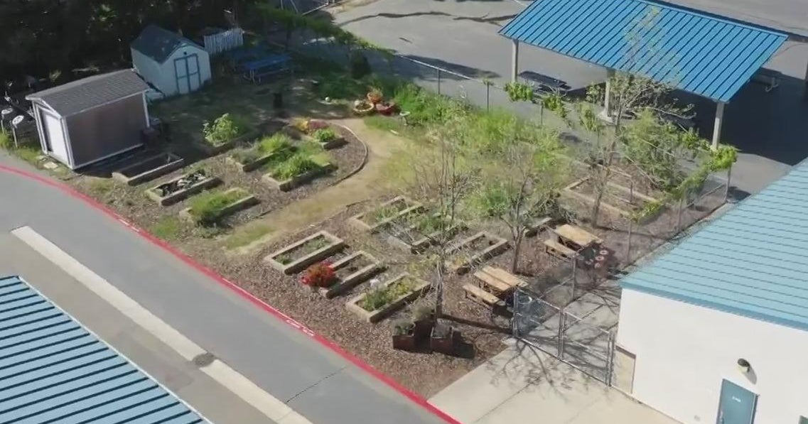 Elk Grove school garden may be replaced by portables