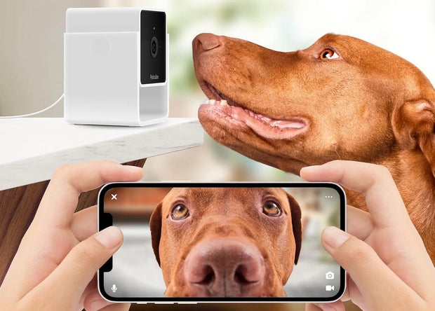 National Pet Day 2024 Deals