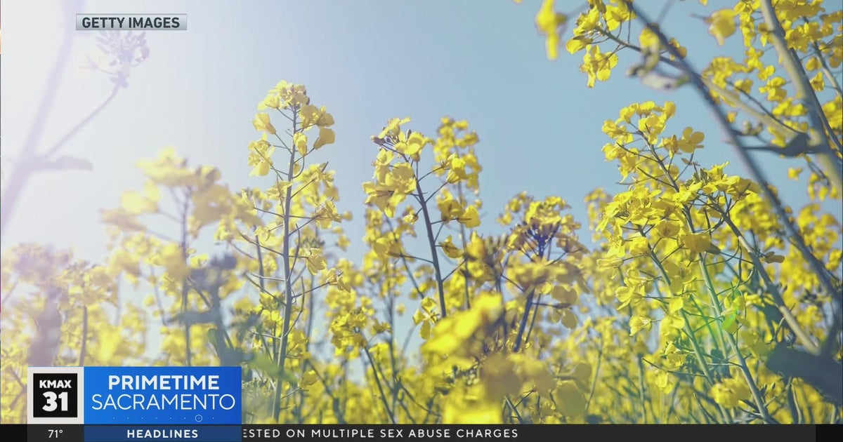 Sacramento Speaks: Spring fever