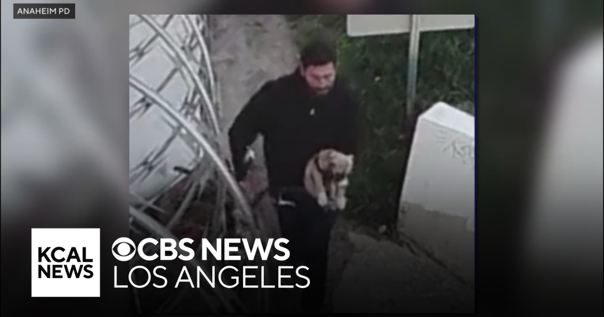 Man caught on video brutally abusing dog in Anaheim - CBS Los Angeles