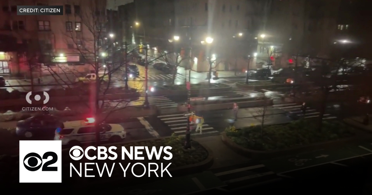 Woman killed by hit-and-run driver in the Bronx - CBS New York