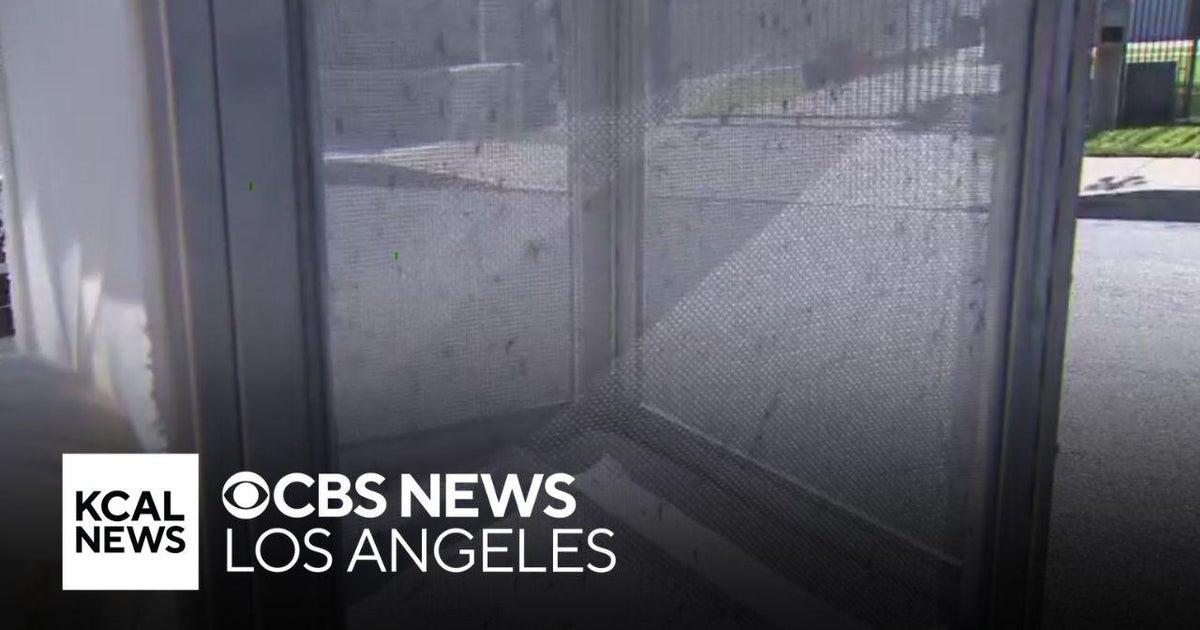 Efforts to lessen Inland Empire mosquito population, CA salmon season canceled, Pomona College rally - CBS Los Angeles