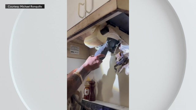 iguana-kitchen-vent-video.jpg 