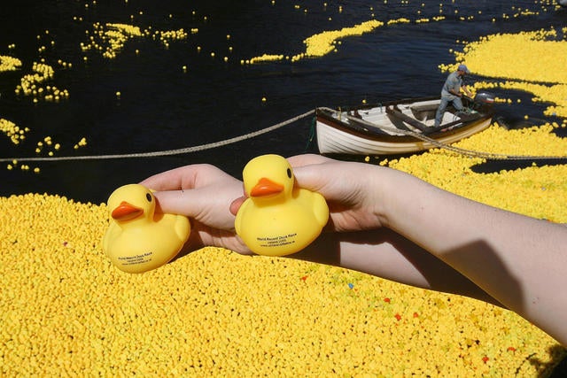 Rubber fashion ducks at sea