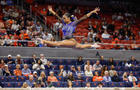 Auburn Gymnastics 