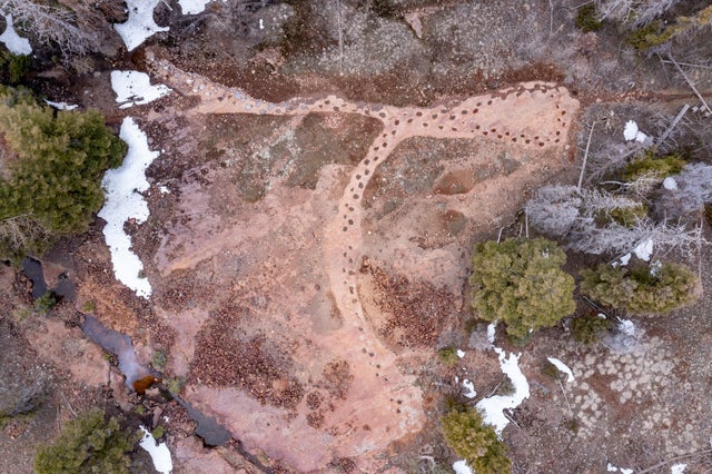 usfs-buys-dinosaur-tracks-credit-usfs.jpg 