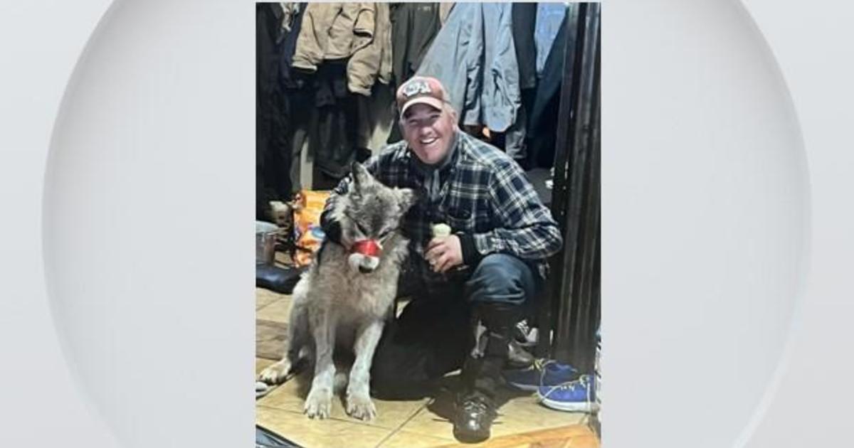 Official: Snowmobiler who abused, killed wolf in Wyoming would face much larger fine, prison in Colorado