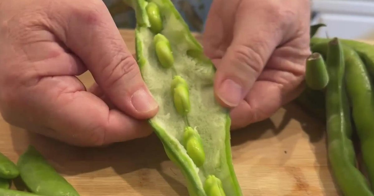 Lunch Break: Fava Beans