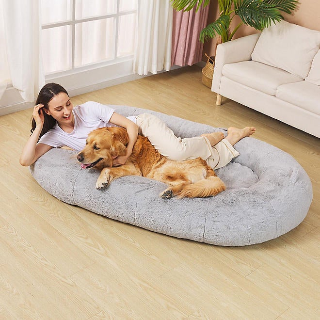 sams-club-dog-bed.jpg 
