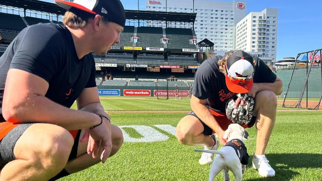 Puppy love! Orioles spend pregame time with BARCS Animal Shelter pups