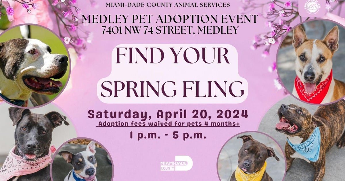 On the lookout for a furry pal? ‘Clear the shelter’ adoption occasion this weekend in Medley On the lookout for a furry pal? ‘Clear the shelter’ adoption occasion this weekend in Medley