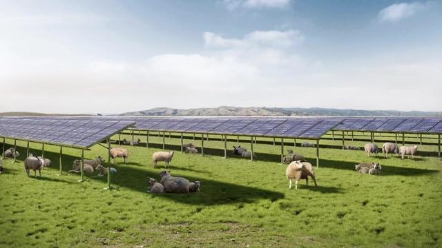 y-steve-solano-solar-farm-pkg.jpg 