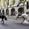 2 military horses seen running loose in central London