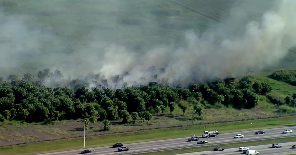 Grass fire burning along Turnpike in SW Miami-Dade Grass fire burning along Turnpike in SW Miami-Dade