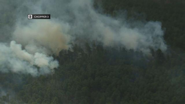 Wildfire burning in New Jersey's Wharton State Forest 