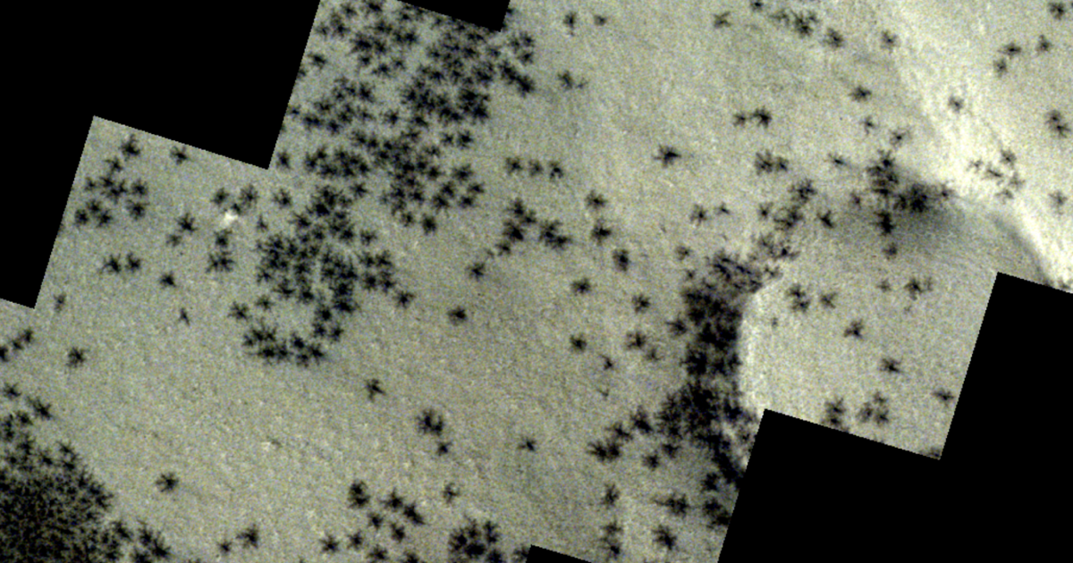 Космически кораб засне изображения на паяци на повърхността на Марс. Ето какви са те в действителност.