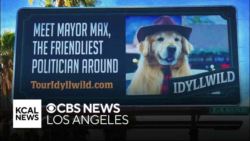 Heading to the Inland Empire to meet Idyllwild's "paw-litician" Mayor
Max | Let's Go Places