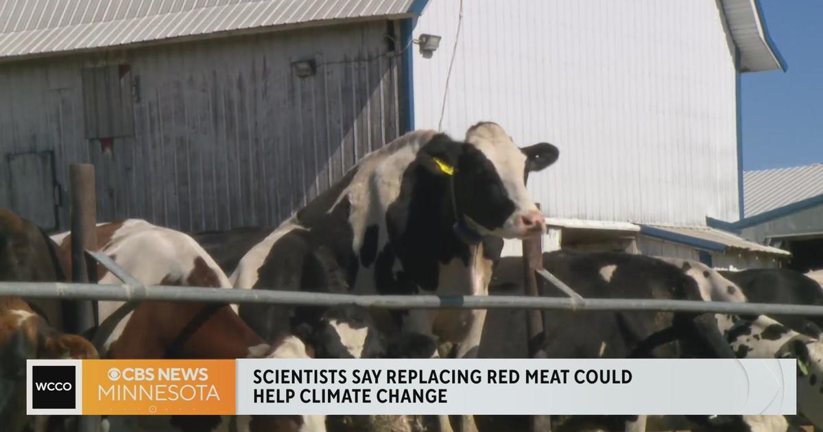 Would you give up red meat to help the planet? - CBS Minnesota