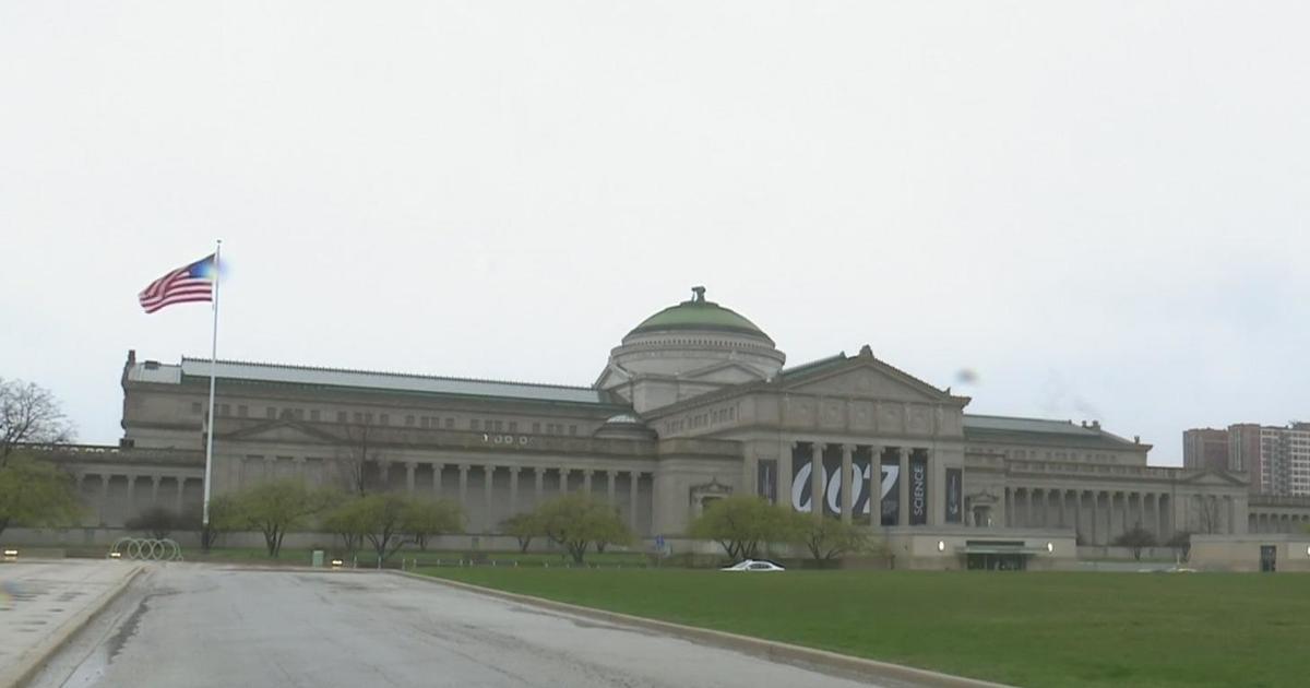 10-year-old girl assaulted sexually at the Museum of Science and Industry in Chicago