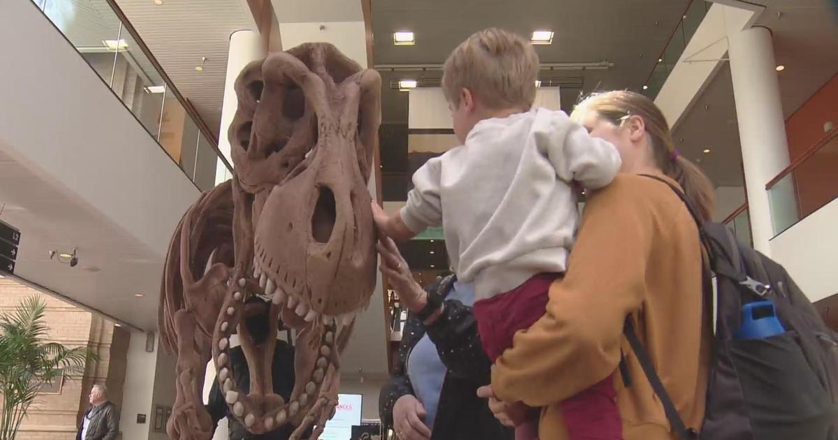 Día Del Niño event celebrates children at Denver Museum of Nature and Science
