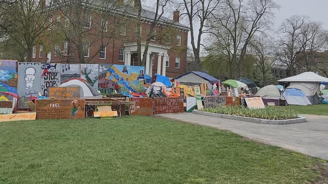 Tufts encampment protests 