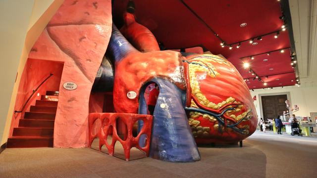 A photo of the giant heart interactive exhibit at the Franklin Institute 