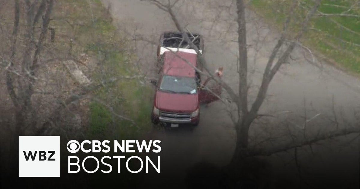 Man in custody after wild police chase caught on video and more top ...