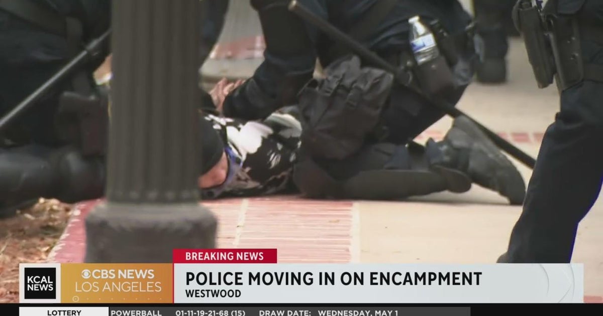 Scuffles among UCLA protesters, police as flashbangs deployed - CBS Los ...
