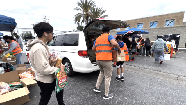 Volunteers place grocery items in the car trunks of recipients 