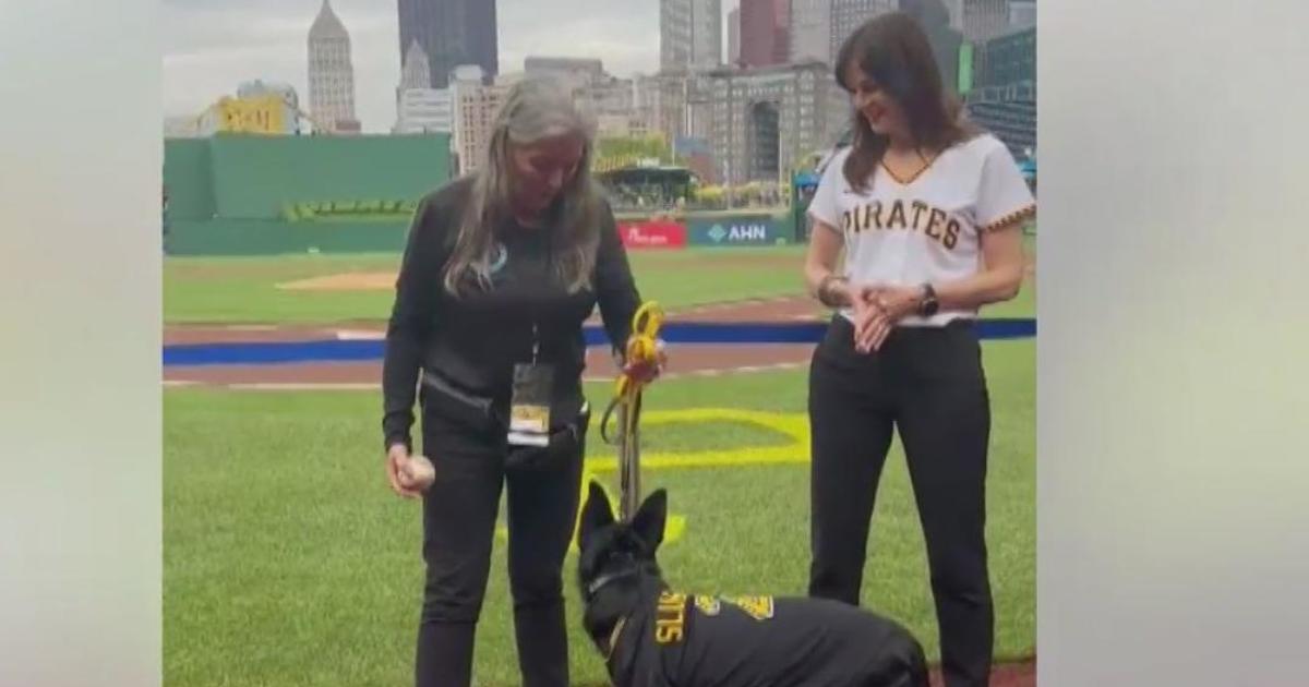 Pirates announce new name for team dog