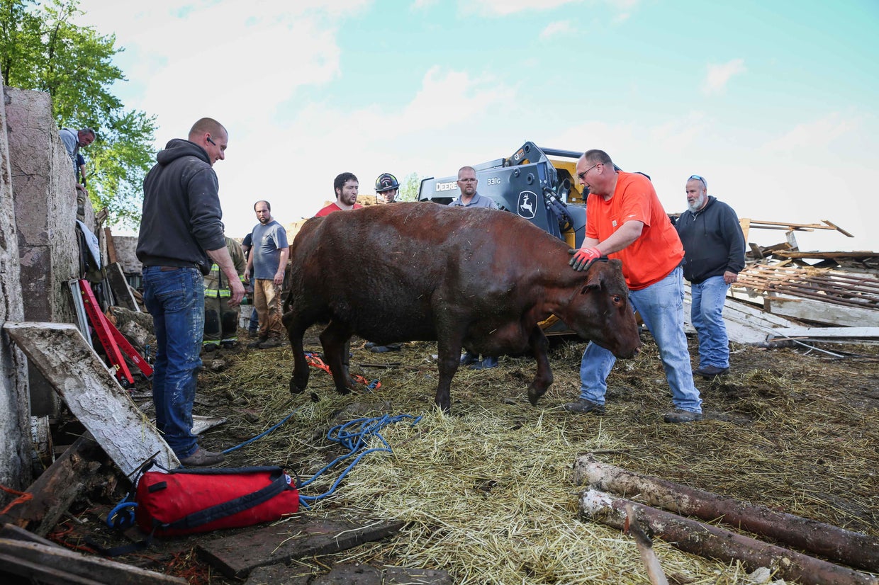 Barn collapses amid storms in Northern Illinois; dozens of animals ...
