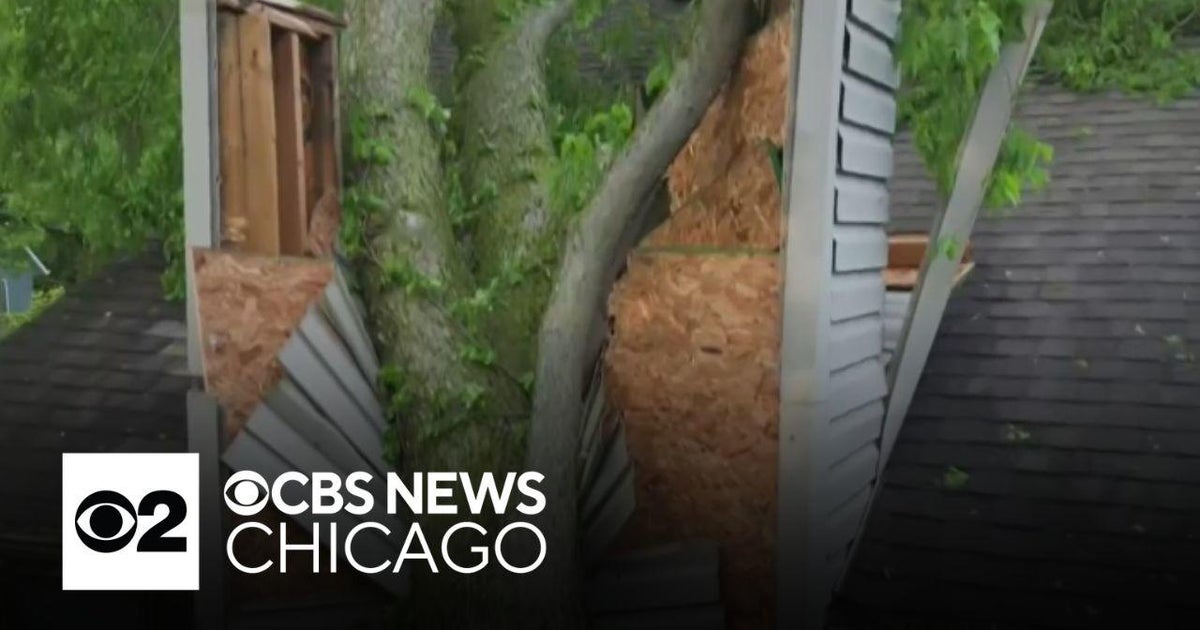 Storms send large tree onto house in Northwest Indiana - CBS Chicago
