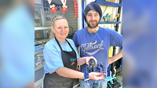 Fishmonger Jacqueline Spencer (left) and Polperro fisherman Chris Puckey (right) pose with a blue lobster that was captured off the coast of their village in England