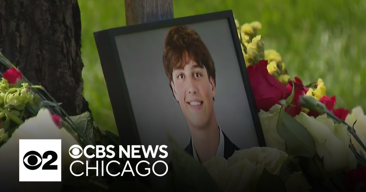 Suburban Chicago students mourn 17-year-old classmate killed in crash ...