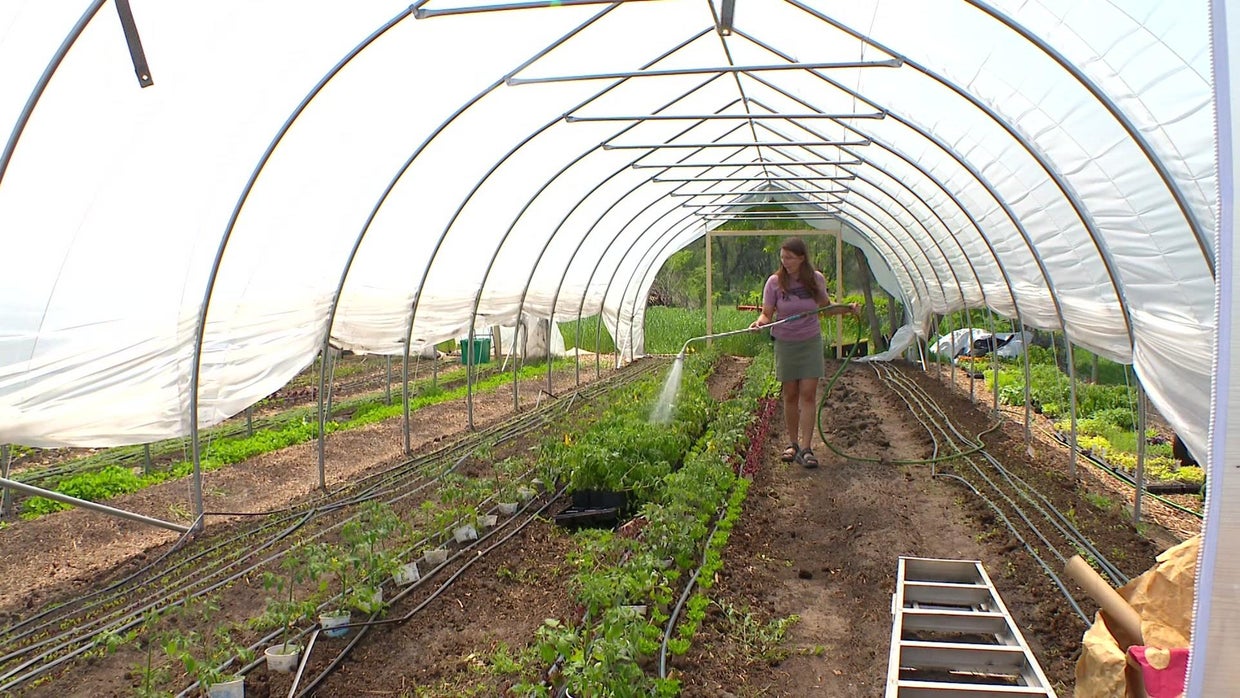 Farmers spring into action to help northeast Minneapolis farmer after ...
