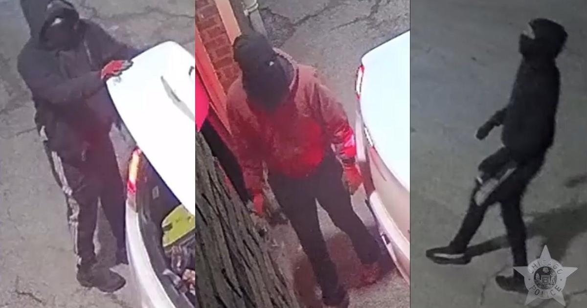 Burglars target businesses and work vehicles in dozens of Chicago break-ins