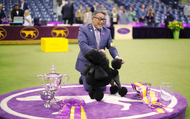 Sage wins Westminster Dog Show