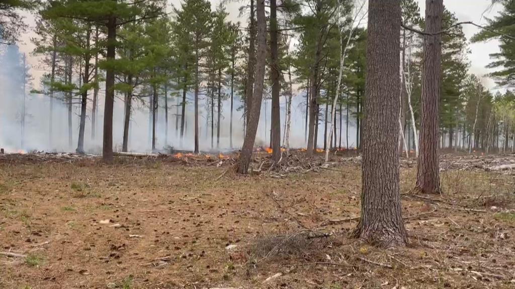 Prescribed burn in northern Minnesota gets out of control