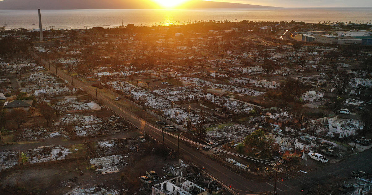 Изминаха девет месеца откакто смъртоносни горски пожари изпепелиха хавайския остров