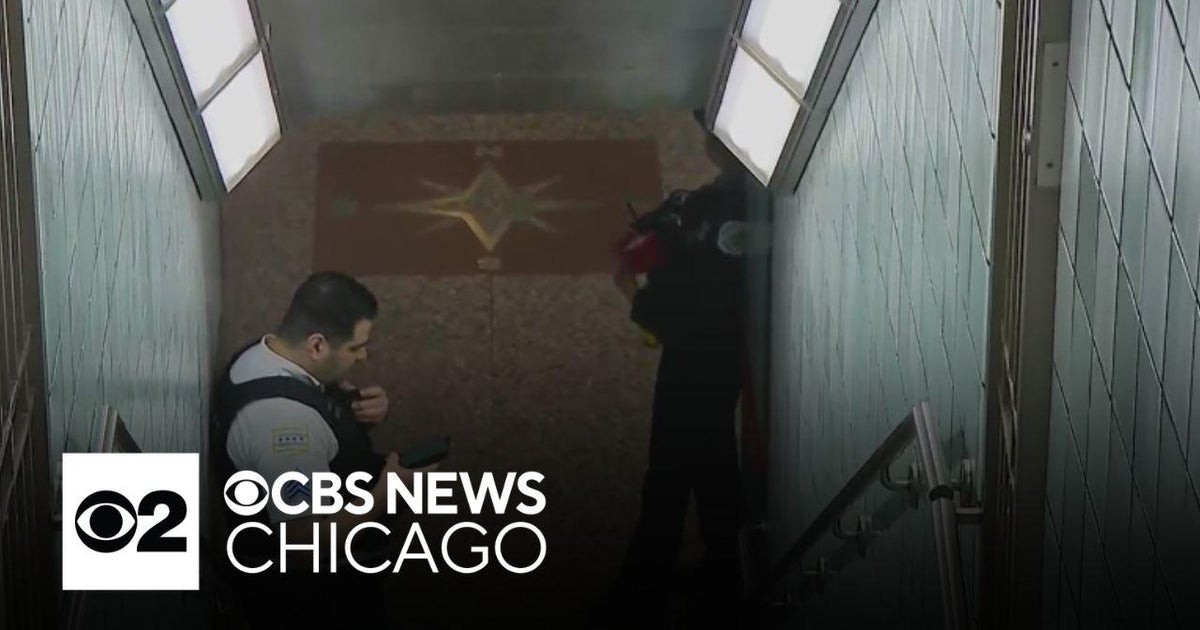 CTA Red Line trains run on elevated tracks after train hits person ...